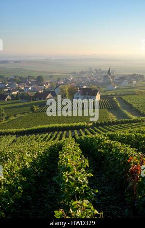 Francia, Marne, Sacy, Montagna di Reims, vigneti della Champagne in montagna con un villaggio in background Foto Stock