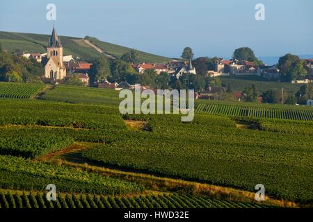 Francia, Marne, Ville Dommange, Montagna di Reims, vigneti della Champagne con un villaggio di sfondo e una chiesa Foto Stock