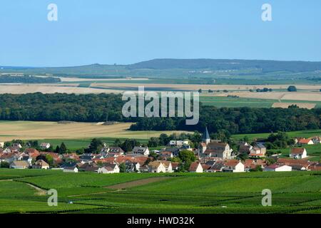 Francia, Marne, Sacy, Montagna di Reims, vigneti della Champagne in montagna con un villaggio in background Foto Stock