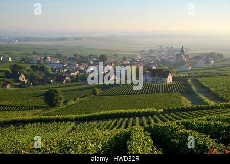 Francia, Marne, Sacy, Montagna di Reims, vigneti della Champagne in montagna con un villaggio in background Foto Stock