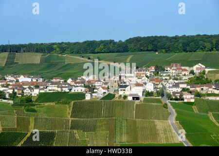 Francia, Marne, Monthelon, côte des Blancs, villaggio nel cuore dei vigneti della Champagne Hillside Foto Stock