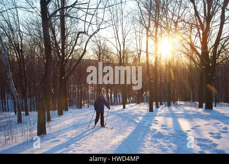 Canada, Provincia di Quebec, Montreal, cross-country sciatore in un vicolo innevate del parco Mount-Royal Foto Stock