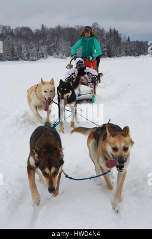Canada, Québec provincia, regione Laurentians, serbatoio Kiamika Parco Regionale, donna alla guida di un dogsled su un lago ghiacciato Foto Stock