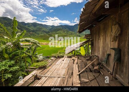 Il Vietnam, la gamma della montagna di Hoang Lien Son, villaggio di Tu Le, affacciato su campi di riso dalla terrazza di una casa in legno su palafitte Foto Stock