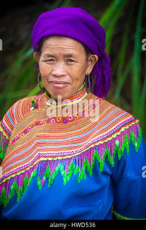 Il Vietnam, Alta Tonkin, provincia di Lao Cai, Ban Pho village, ritratto di un Rosso H'mongs contadino Foto Stock