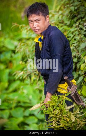 Il Vietnam, Alta Tonkin, provincia di Lao Cai, Sa Pa town, agricoltore nel suo raccolto Foto Stock