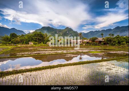 Il Vietnam, Mai Chau provincia, bianco Thaï (Thai Dam) villaggio riflettendo in campi di riso della Valle di Mai Chau Foto Stock