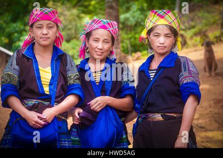 Il Vietnam, Top Tonkin, provincia di Yen Bai, Mu Cang Chai district, tre giovani verde H'mongs donne in abito tradizionale Foto Stock