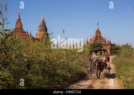 Myanmar (Birmania), Mandalay district, pagano, stupa e cavallo auto Foto Stock