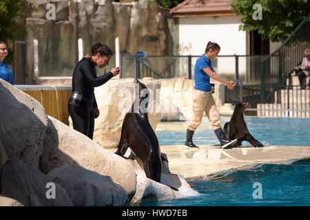 Francia, Loir et Cher, St Aignan sur cher, ZooParc de Beauval, Foto Stock