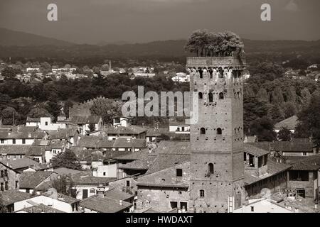 Lucca skyline con Torre Guinigi e Cattedrale in Italia Foto Stock