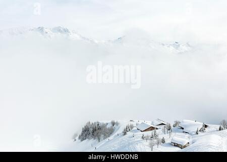 Francia, Savoie, Beaufortain, Hauteluce, Les Saisies, stadio della vita di sport invernali, gruppo di chalets in legno in inverno haze Foto Stock