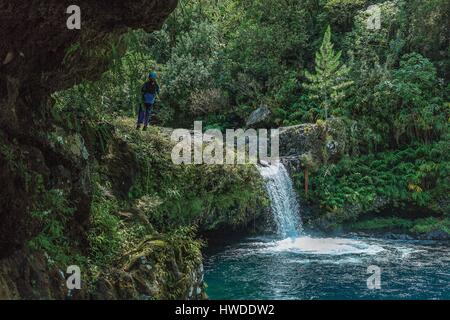 Francia, Isola di Reunion (dipartimento francese d' oltremare), classificato come patrimonio mondiale dall' UNESCO, San Giuseppe, fiume Langevin, scenografiche cascate che fluisce in un bacino, sospesa persona ha una corda canyoning Foto Stock