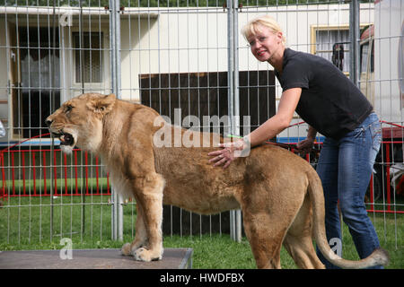 Domatore di leoni al Circus Renz Foto Stock