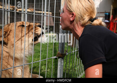 Domatore di leoni al Circus Renz Foto Stock