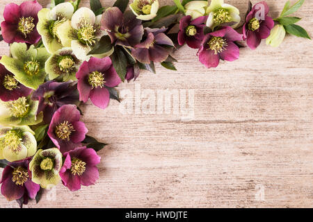 Vintage sfondo con fiori di primavera disposizione colori pastello. Spazio di copia, laici piatta Foto Stock