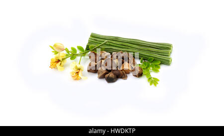 Foglie di moringa con fiore e semi su sfondo bianco Foto Stock