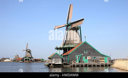 Xviii secolo il mulino a vento De Kat (Cat), funzionamento più antica dyemill nel mondo, Zaanse Schans, Zaandijk, Paesi Bassi. In background Het Jonge Schaap Foto Stock