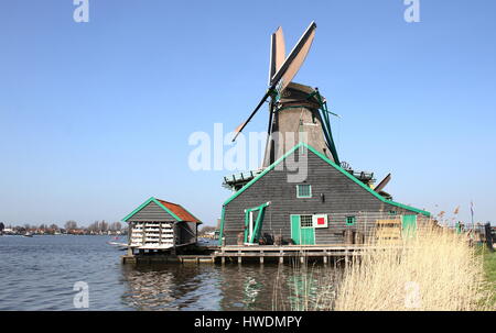 Xviii secolo il mulino a vento De Kat (Cat), più antico dyemill funzionante in tutto il mondo a Zaanse Schans, Zaandam/Zaandijk, Paesi Bassi Foto Stock