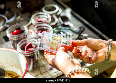 Mano di donna test PH barbabietole conserva vasi in cucina Foto Stock