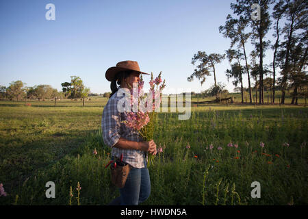 Giovane donna che trasportano mazzetto di bocche di leone (antirrhinum) da fiori di campo di fattoria Foto Stock