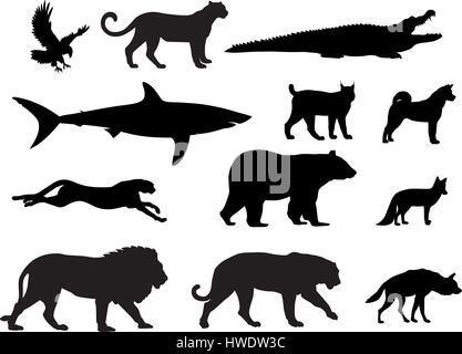 Illustrazione Vettoriale di vari predator sagome di animali Illustrazione Vettoriale