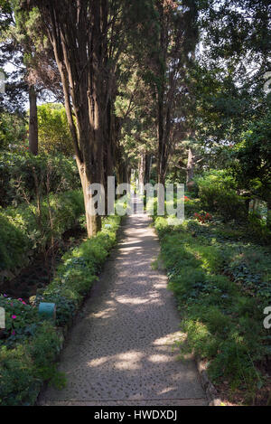 Vicolo del giardino pubblico di Villa San Michele sulla isola di Capri, Italia Foto Stock