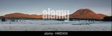 Francia, Puy de Dome, Orcines, Chaine des Puys, parco naturale regionale dei vulcani di Auvergne, mandria di mucche davanti Puy de Dome vulcano Foto Stock