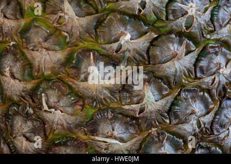 Buccia squamosa ananas, ruvido fuori delizioso dolce all'interno della macro Foto Stock