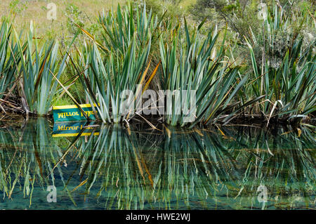 Mirror Lake vicino a Te Anau sull'Isola del Sud della Nuova Zelanda Foto Stock