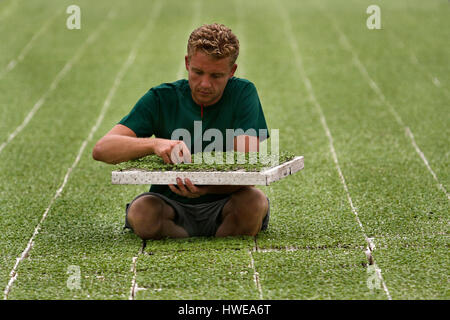 La germinazione di semi in serre Foto Stock