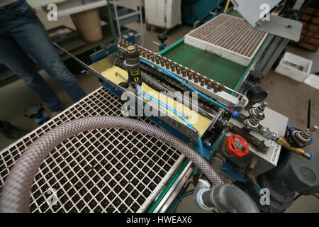 La germinazione di semi in serre Foto Stock