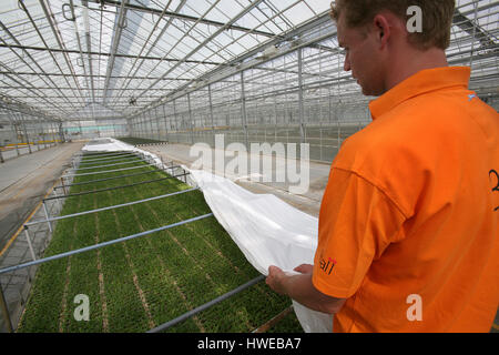 La germinazione di semi in serre Foto Stock