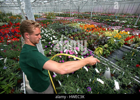 La germinazione di semi in serre Foto Stock