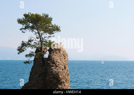 La roccia di Cadrega, roccia della sedia, una famosa roccia con un pino marittimo sulla parte superiore sul lungomare tra Santa Margherita Ligure e Portofino Foto Stock