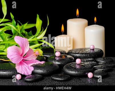 Composizione spa di rosa fiori di ibisco, ramoscello bambù, perla perle e candele su zen pietre di basalto con gocce, close up Foto Stock