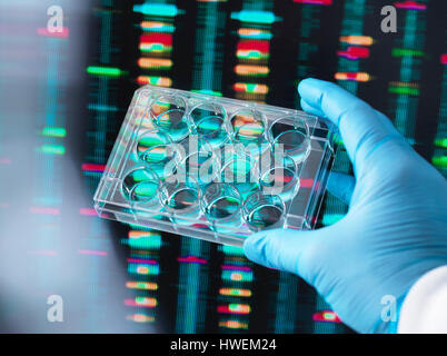 Ricerca di DNA, scienziato tenendo premuto fino a più pozzetti contenenti i campioni di DNA con i risultati sullo schermo del computer Foto Stock