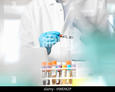Scienziato controllo campione di sangue informazioni pronte per la sperimentazione clinica in un laboratorio Foto Stock
