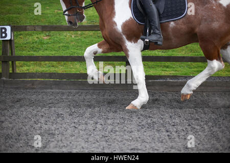 Giovane donna di equitazione intorno al paddock, sezione bassa Foto Stock