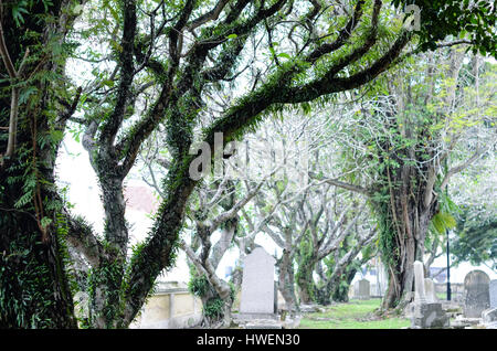 Il cimitero di verde in Malesia Foto Stock