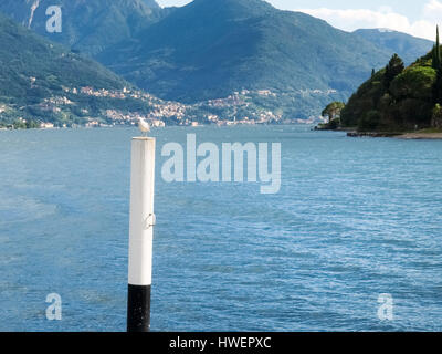 Pianello del Lario, Italia: Seagull in appoggio sul palo del molo. Foto Stock