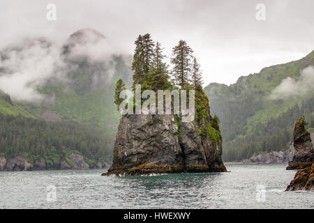 Cove vicino Resurection Bay, Kenai Fijords NP, Seward, AK Foto Stock