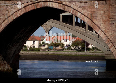 Ponti oltre il Tweed, Berwick-upon-Tweed, Northumberland Foto Stock