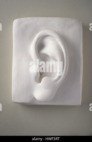 White orecchio umano sculture in gesso Foto Stock