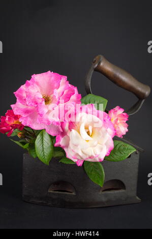 Rosa e rose bianche in un annata di ferro come un vaso Foto Stock