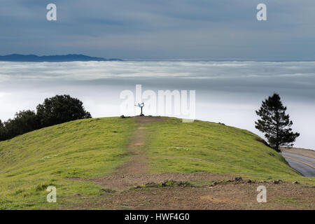 Yoga nella natura Foto Stock