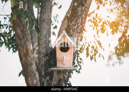 Piccola casa di uccelli con cerchio porta in legno appeso sulla struttura ad albero. Calda luce brillante da sfondo sfocato. Foto Stock