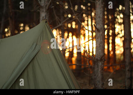 Campeggio in tenda al forrest Foto Stock
