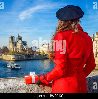 Luminose a Parigi. Visto da dietro alla moda donna turistica in rosso trench coat sul terrapieno vicino a Notre Dame de Paris a Parigi in Francia con prese di Natale Foto Stock