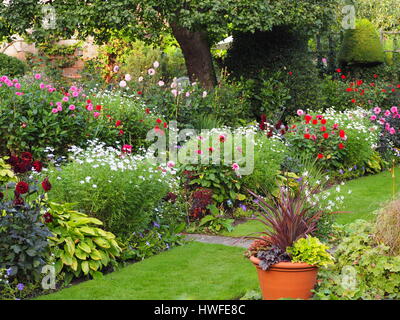 Autunno luce solare a Chenies Manor sunken garden. Il Dahlia's petali ancora guardare vibrante e colorata. Splendidamente progettato vecchio giardino inglese. Foto Stock